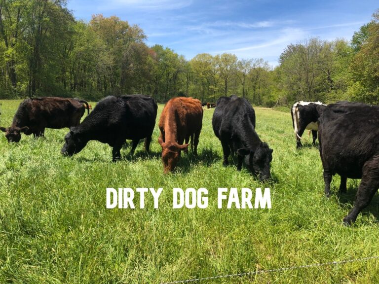 Dirty Dog Farm