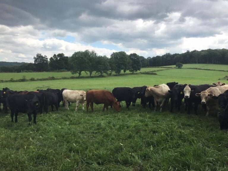 Hemlock Hill Farm
