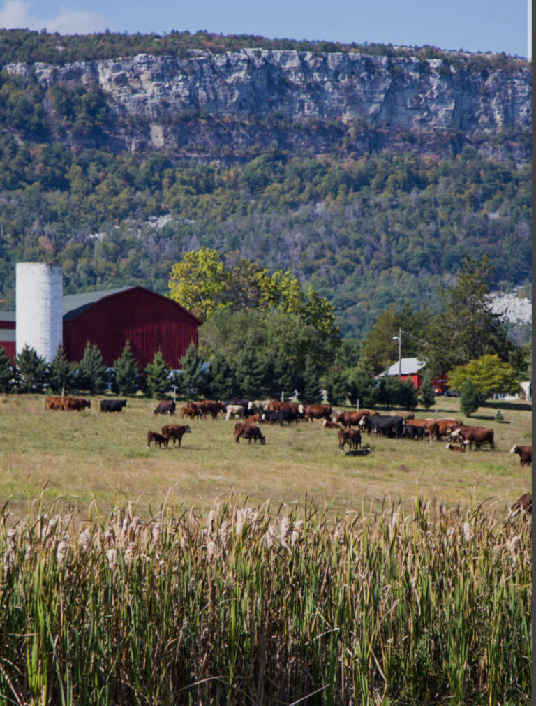 Kiernan Farm